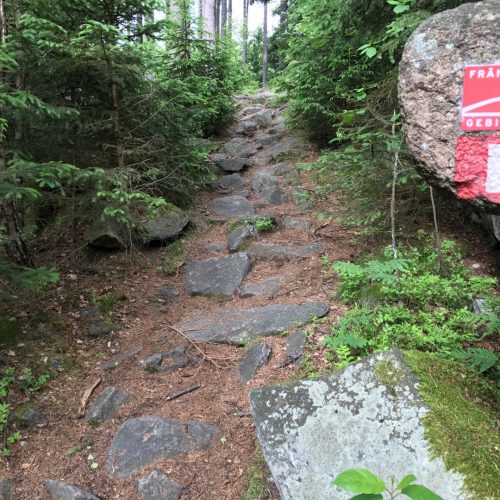 Trail Hirschsteinruine